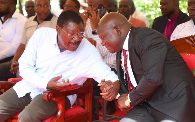 Cybercrimes law protects children, fights cults, Wetang'ula says