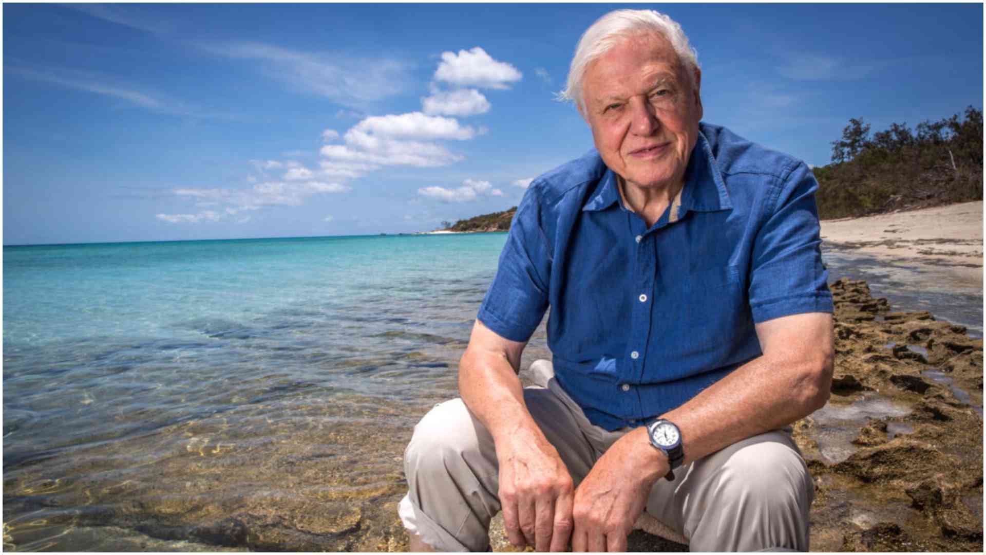 David Attenborough, 'the voice for nature,' turns 100