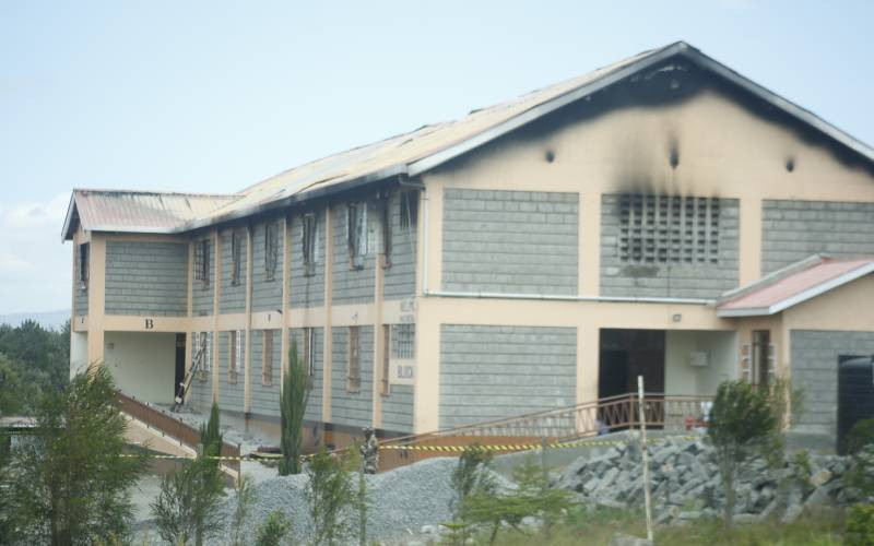 Child offenders law tested as eight students are linked to school fire