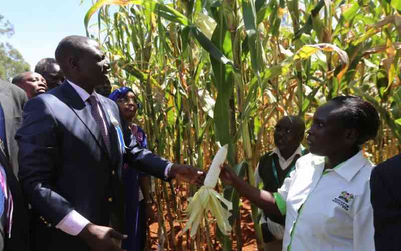 Germany to fund Kenya's agricultural sector transformation