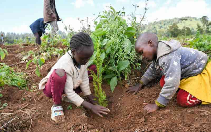 Biodiversity conservation key in achieving sustainable development