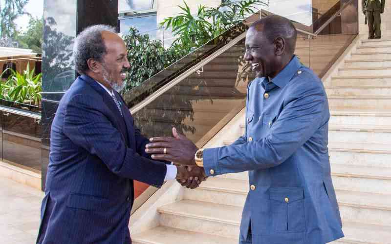 Letter from Mogadishu: Somalia President in shuttle diplomacy
