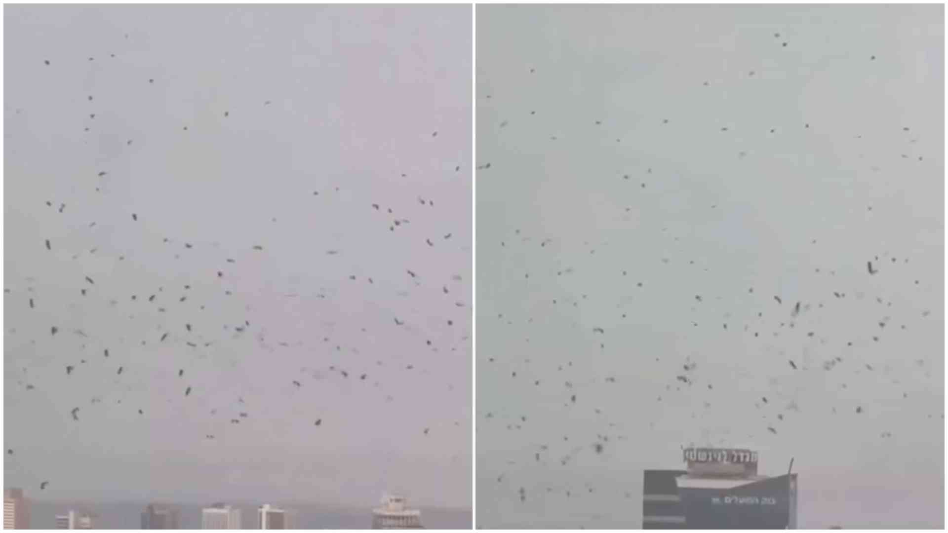Tel Aviv skies darkened by thousands of crows, sparking 'end times' buzz