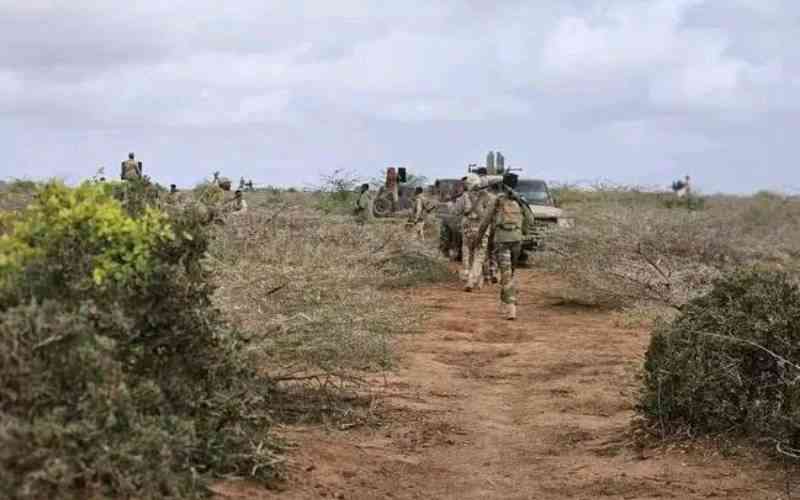 Detention of Somali soldiers in Ethiopia raises questions of role in Sudan war