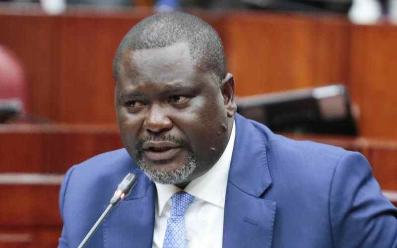 Politics can wait, prioritise work: CS Ruku to leaders