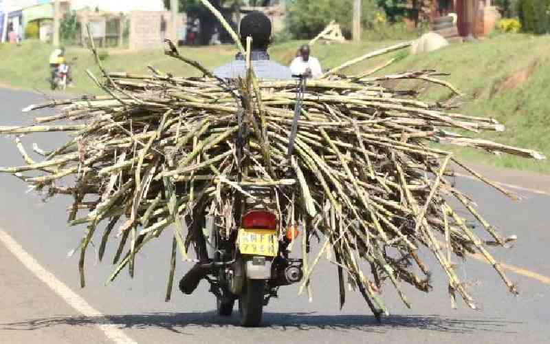 Listen to stakeholders on sugarcane factories