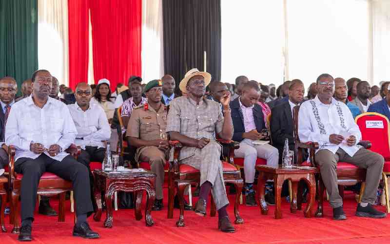 Ruto: Opposition has no plan, just noise