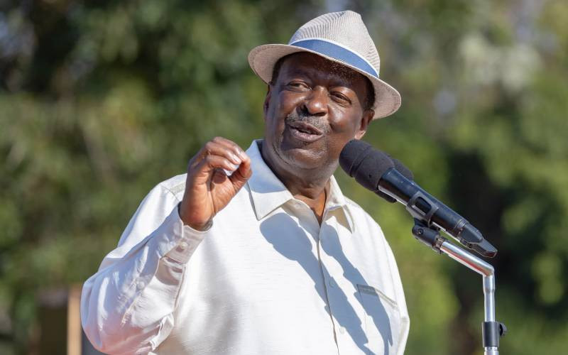 Mudavadi: Sh2 billion school funds lost as digital crackdown begins