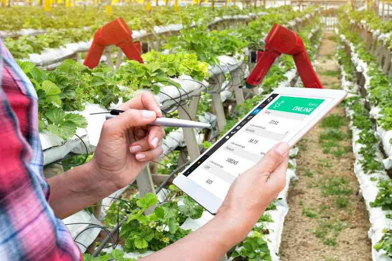 Stakeholders in new push to bridge the agri-tech divide