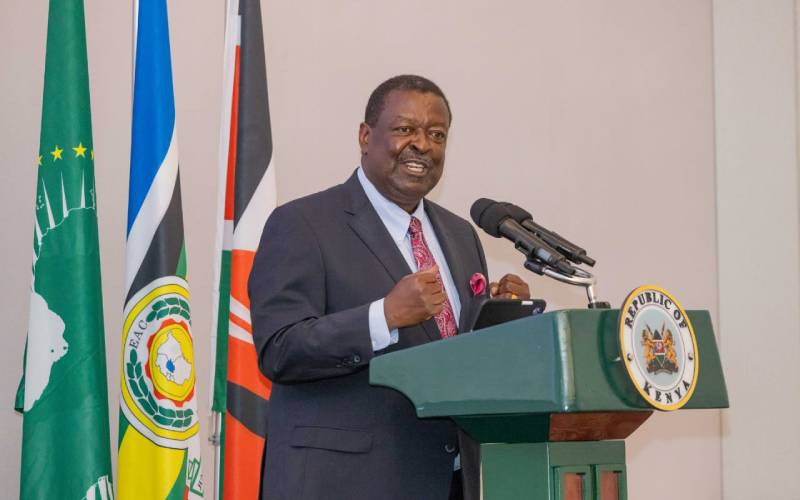 Mudavadi rallies African support for Kenya's AU bid