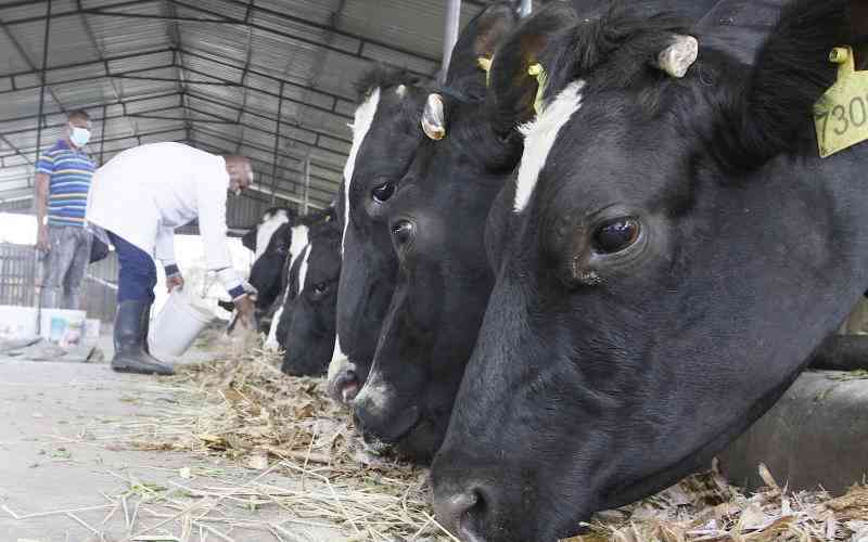 Reliance on rain-fed agriculture, inconsistent feed cost hurt dairy sector