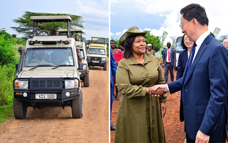 China's vice president marvels at Kenya's wildlife amid comical reactions from netizens