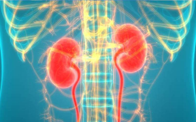 Kidney transplant crisis exposed