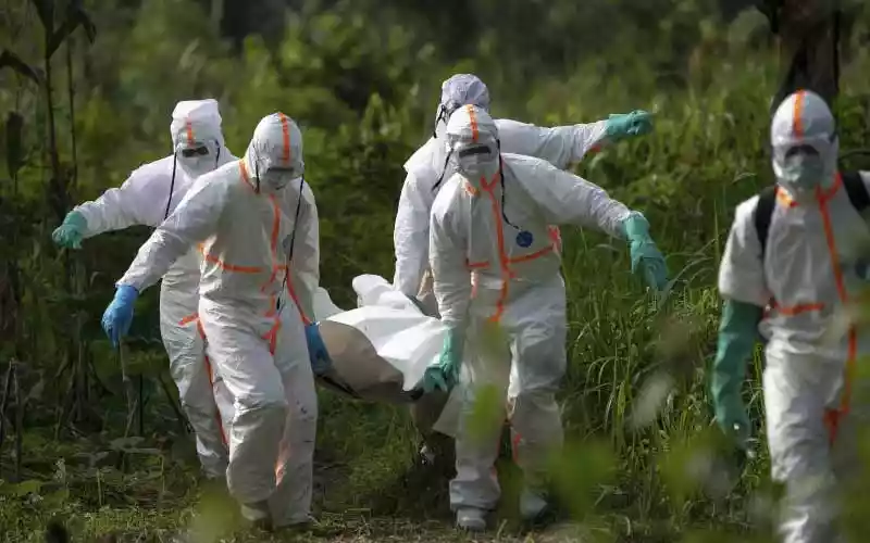 Step up border vigilance to keep Ebola at bay