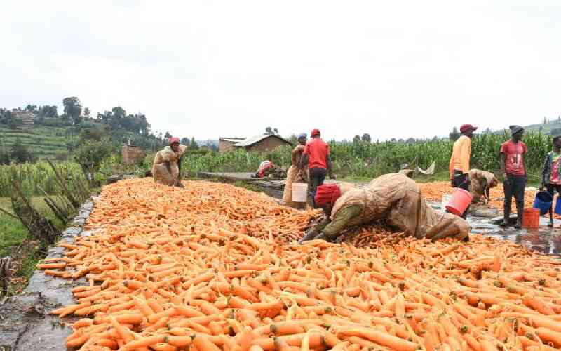 Kenyan exporters grapple with EU sustainability rules