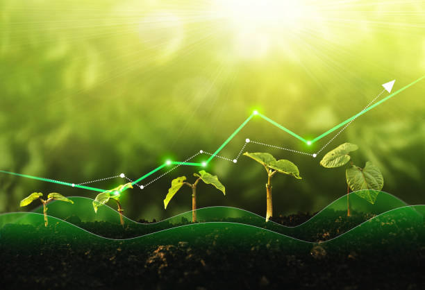 Bank commits Sh1b to green financing