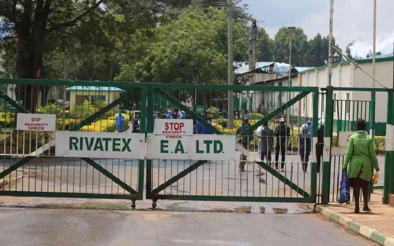 MPs probe Moi University's Sh3b bank loan to buy Rivatex