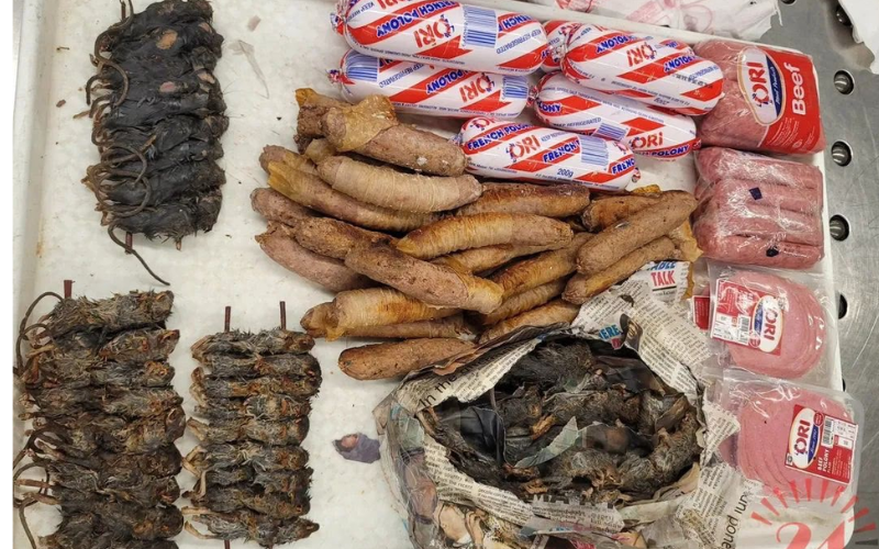 Malawi passenger intercepted with dried rodents, 10kg raw beef at Chicago airport