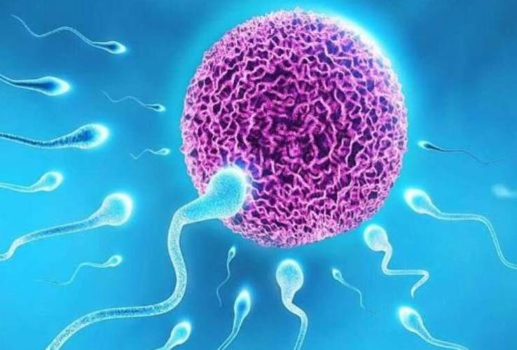 Hope for childless couples as fertility technologies offer higher success rates