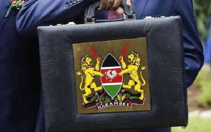 Budget czar flags weak reporting of donor-funded projects