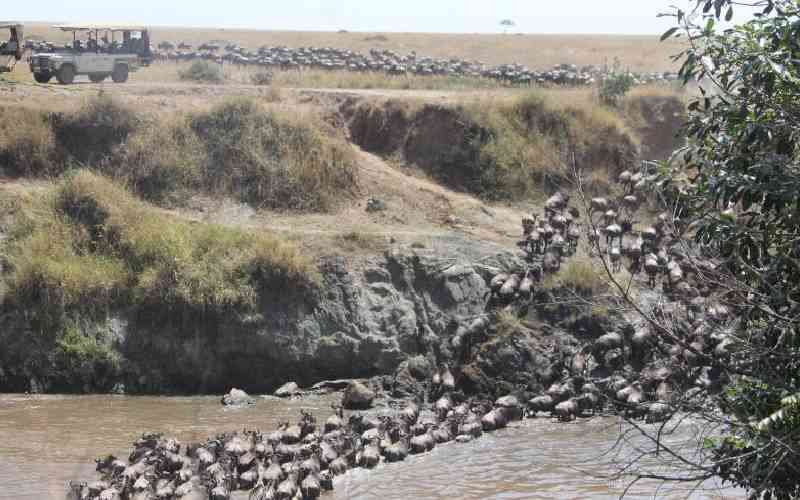 Narok county adopts technology...