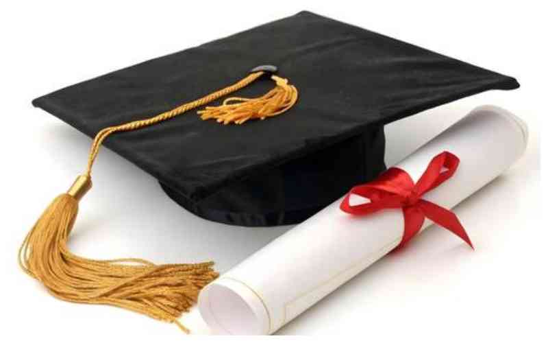 Whispers from academic abyss: Musings of a postraduate