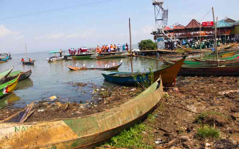 Lake Victoria's choking crisis: How pollution is turning Winam Gulf into a smelly crisis
