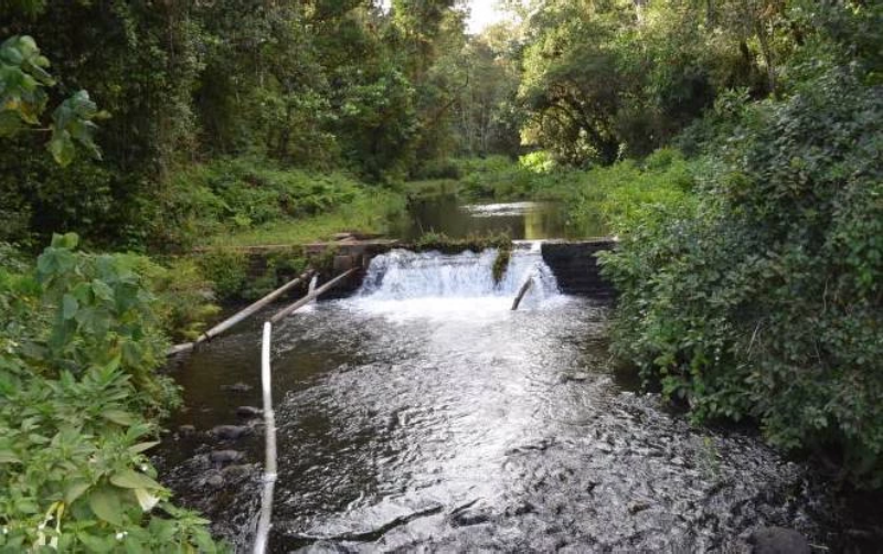 Major push to heal Aberdare catchment