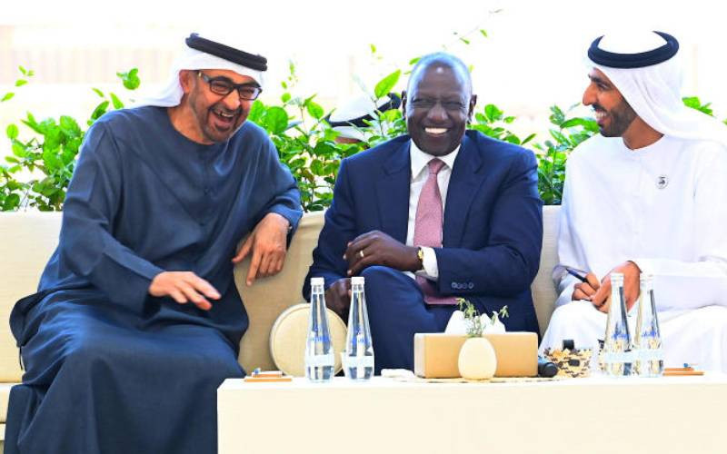Tap into UAE market, local investors told