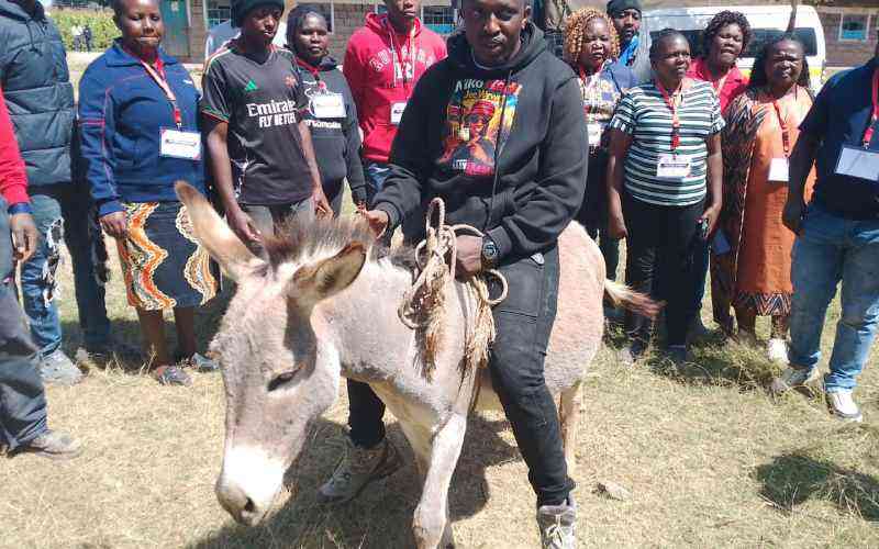 No fuel, no problem: Ol Kalou candidate turns up to vote on a donkey