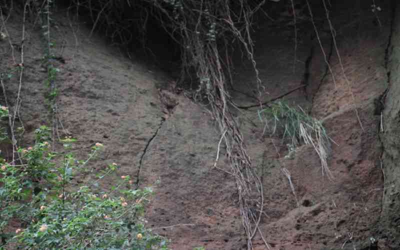 Landslide flattens Sudan village, kills more than 1,000
