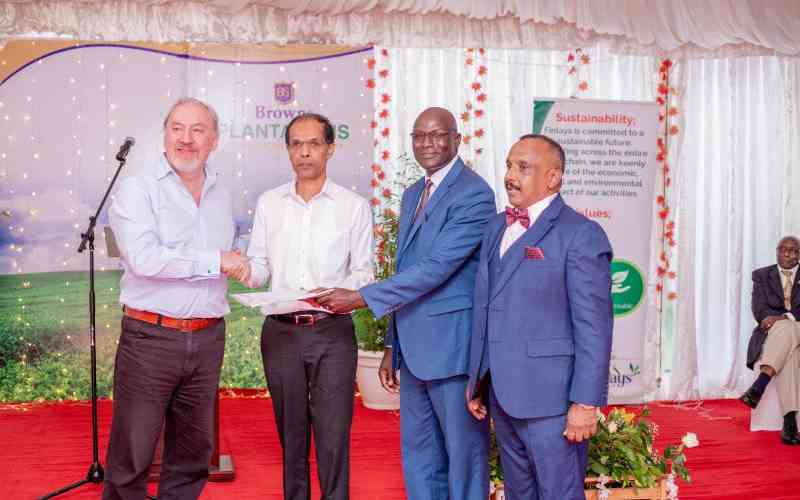 Brown plantations' annual tea production exceeds 100 million kilograms