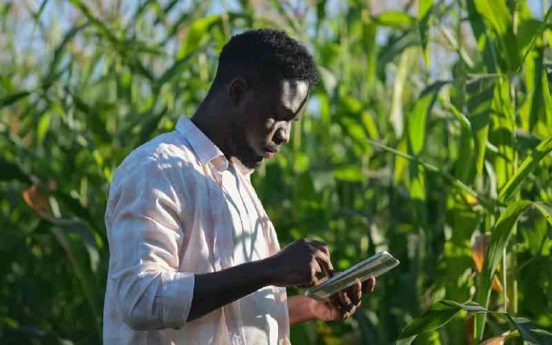 Kenyan agritech start-up develops farmer registration app