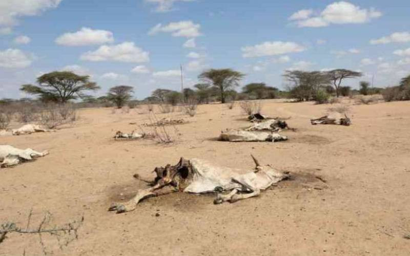 Drought is not an Emergency, it is a Governance choice