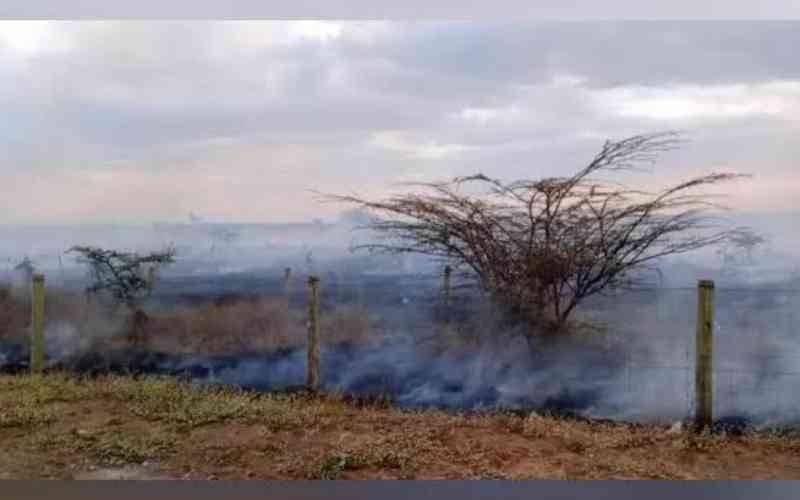 Fire breaks out at Nairobi National Park near Southern Bypass