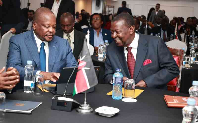 Kenya, Iran move to lift tea export ban within 60 days