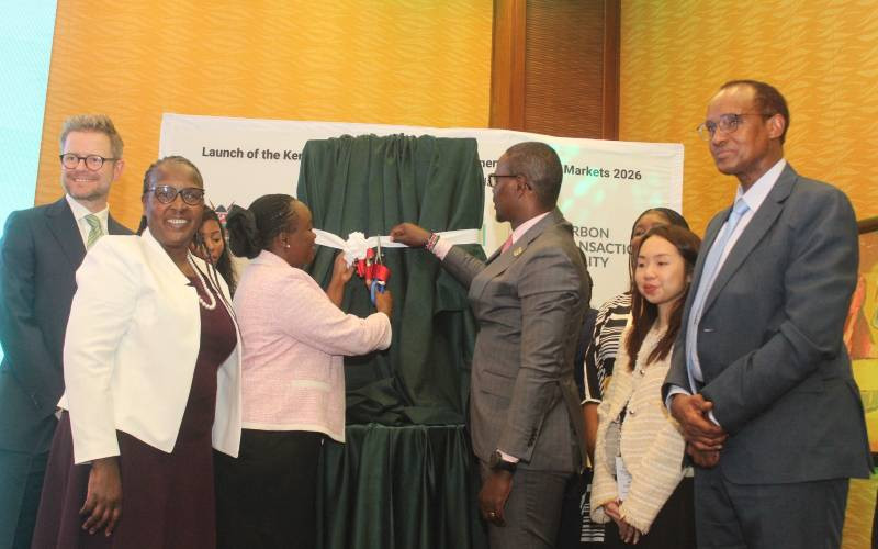 EU commits Sh590 million to strengthen Kenya's carbon market