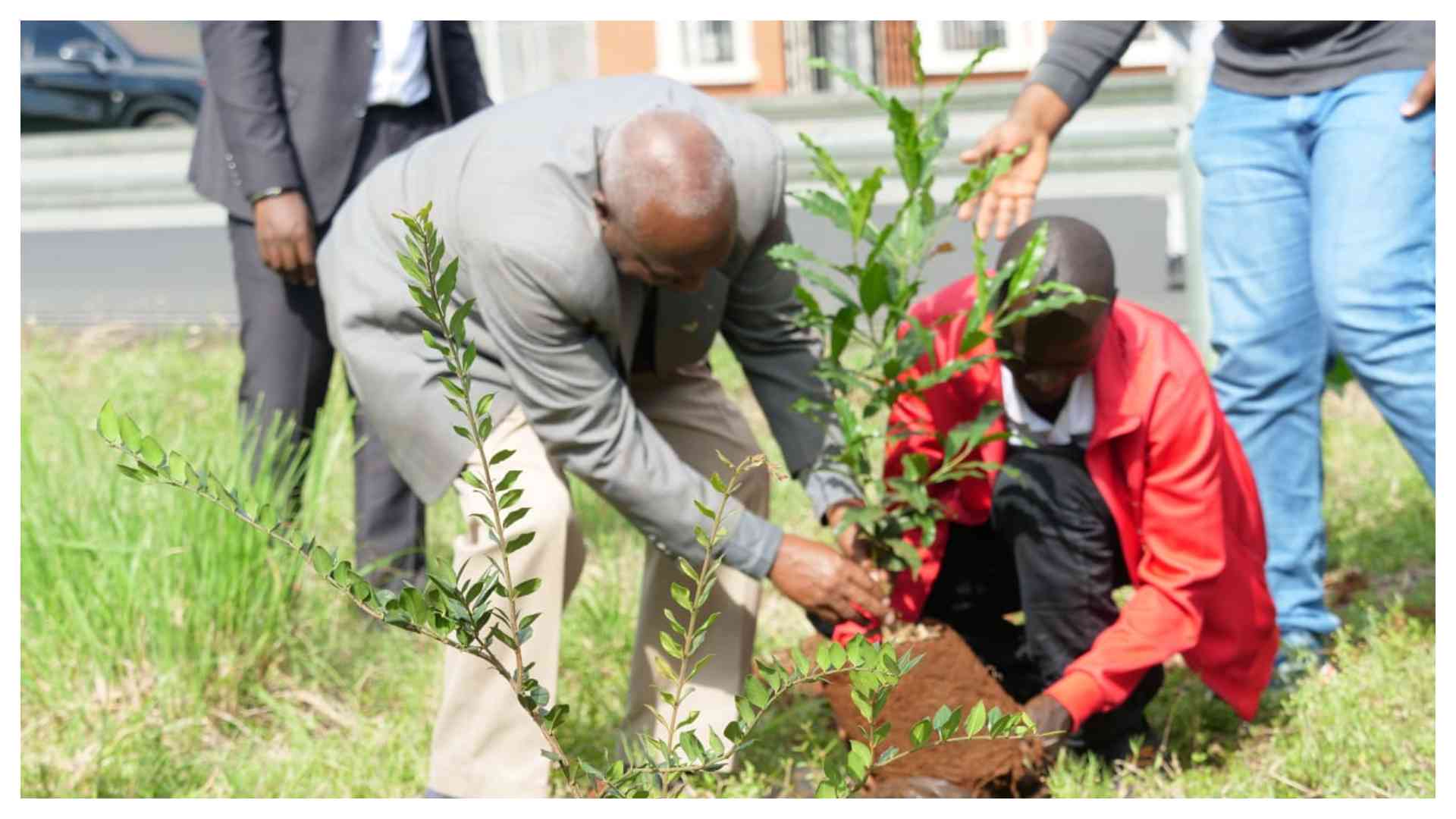 Nairobi City Marathon pairs air sensors with 5,000-tree legacy plan