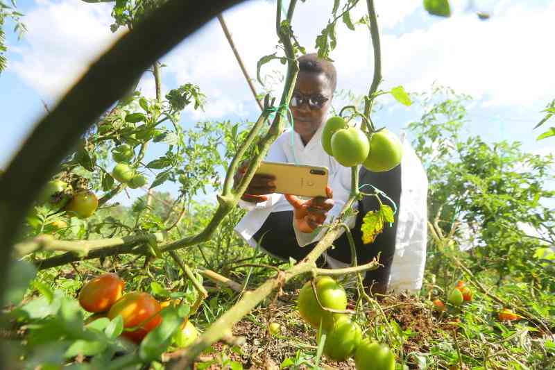Digital innovation empowering farmers
