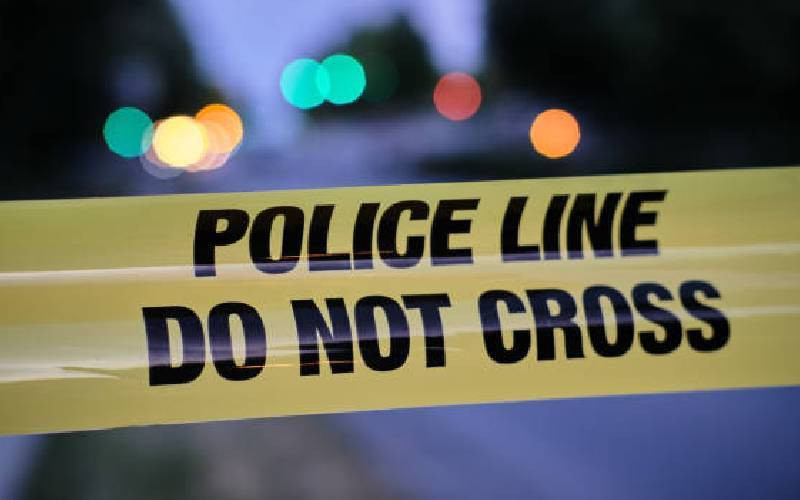 Gunmen shoot dead 12 near Johannesburg: S.African police