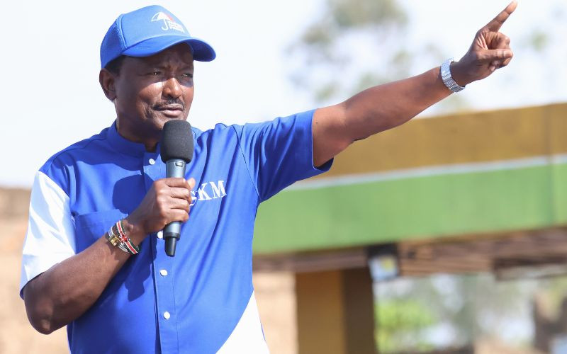 Ruto's army keeps Kalonzo's troops busy in his Ukambani backyard