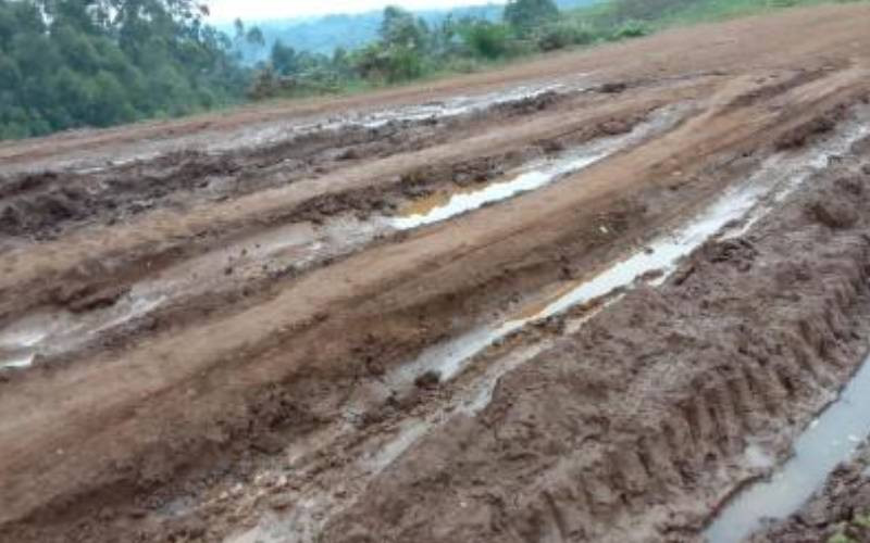Rains expose land agents selling waterlogged areas