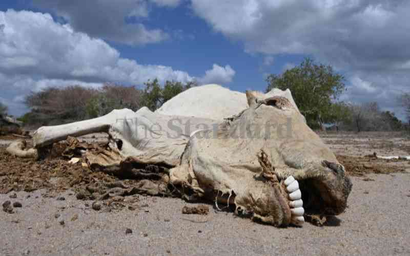 Senators paint grim picture of drought in the country