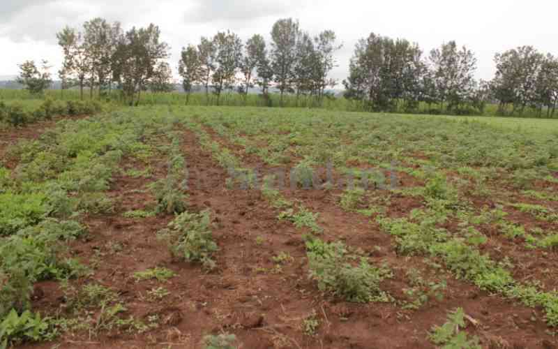 Farmers benefit from Sh30m fund