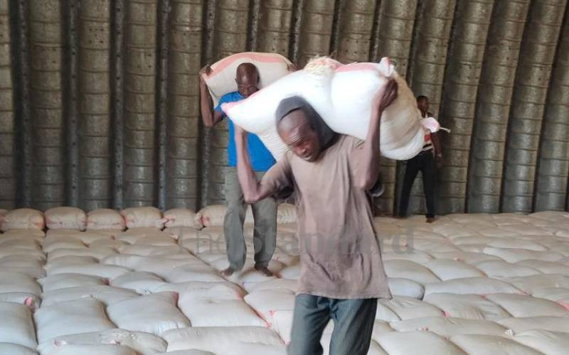End of windfall: Why maize farmers aren't smiling all the way to the bank