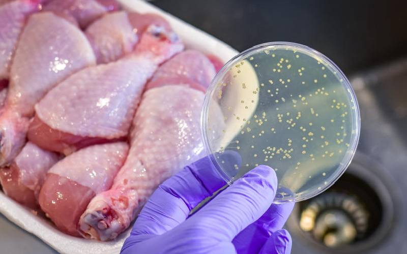 Keeping Salmonella disease at bay