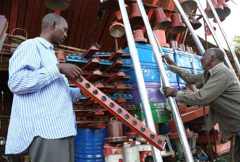 Rising high: How Nyeri's real estate boom is empowering the juakali sector