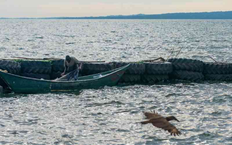 Fisheries Bill: Fisherfolk bet on Senate to stem overfishing