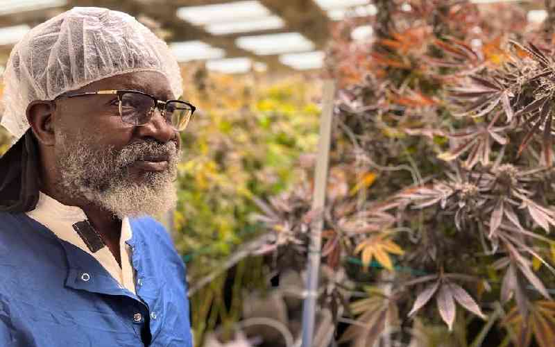 Prof George Wajackoyah tours marijuana farms in US