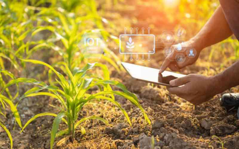 Africa's digital agriculture sector faces funding crunch
